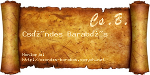 Csöndes Barabás névjegykártya